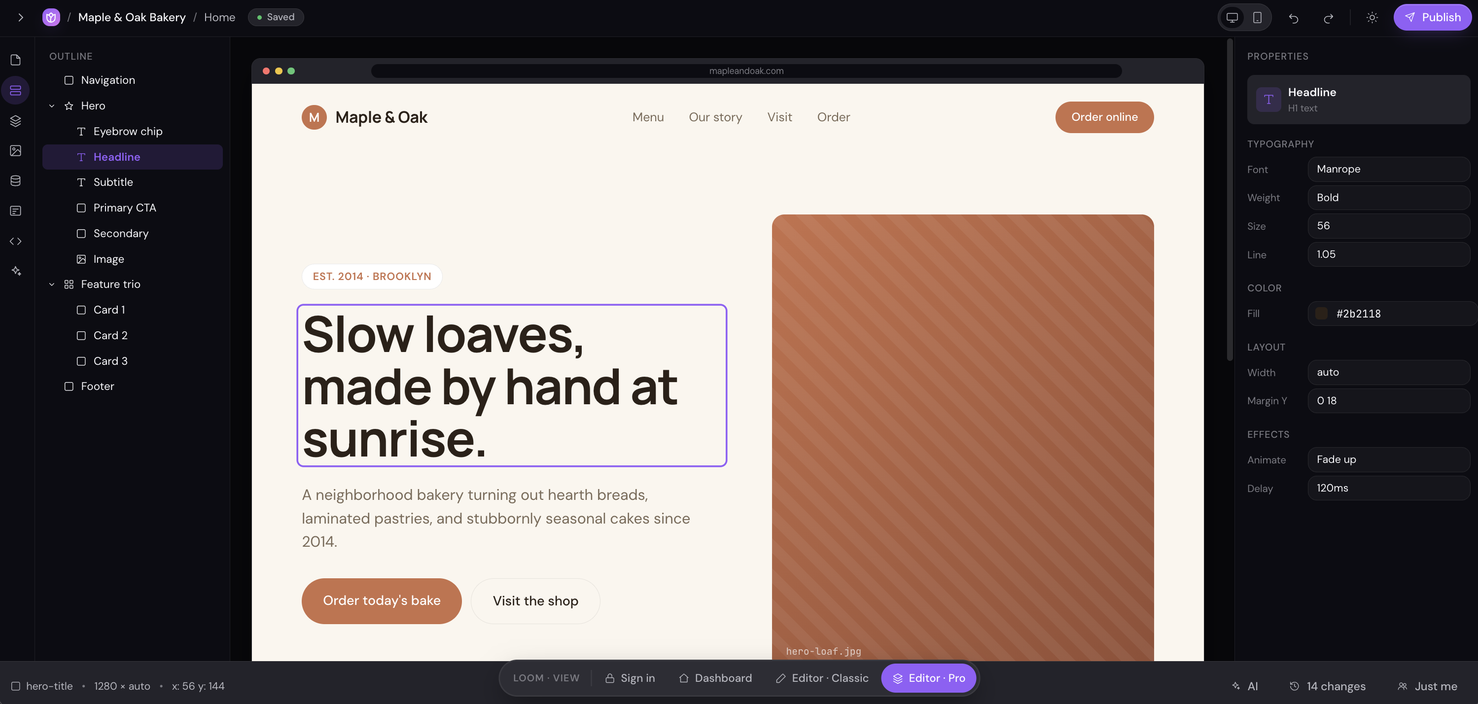 Website Builder — Editor Pro Mode